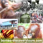 borneo discovery tours
